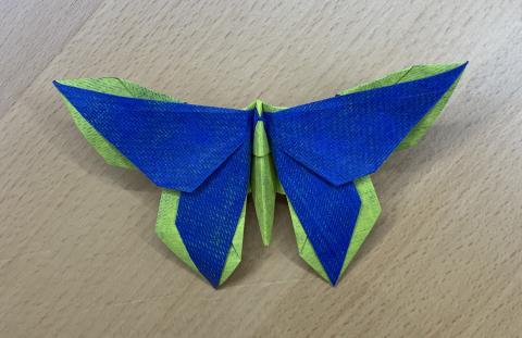 A Butterfly for Jan Polish