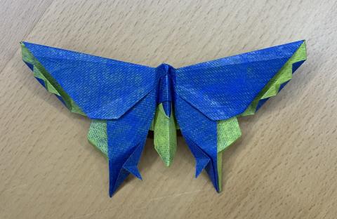 A Butterfly for Robert Lang