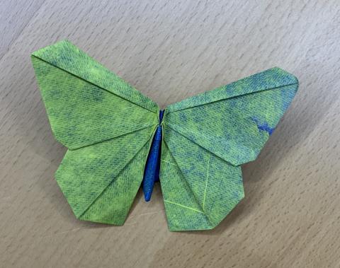 The Origamido Butterfly