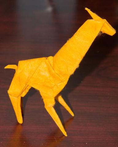 Giraffe