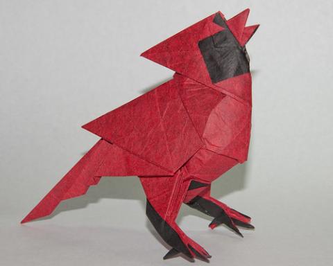 Singing Cardinal