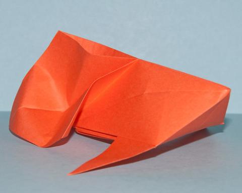 Goldfish
