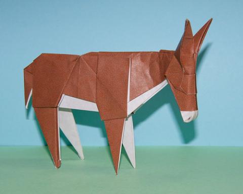 Donkey