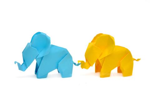 Evi's Elephant