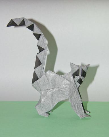 Ring-tailed Lemur