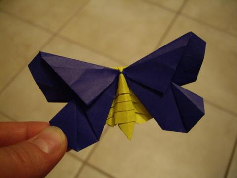 The La Fosse Moth 