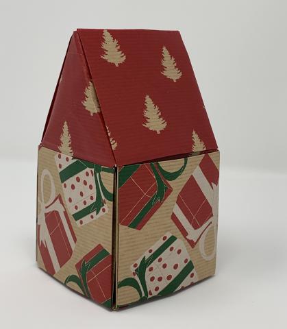 Panorama House Christmas Version