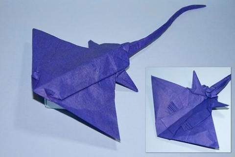 Stingray