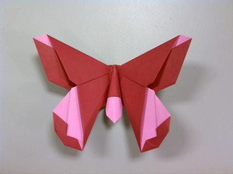 The Lillian (Butterfly)