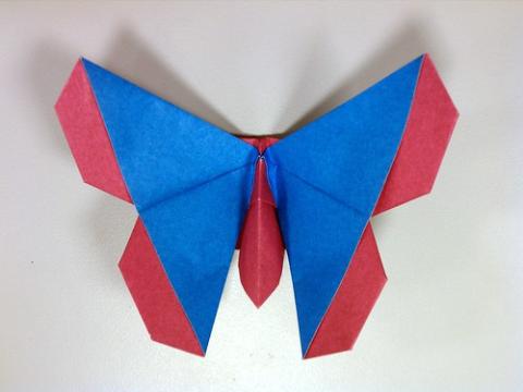 Emiko Fritillary (Butterfly)