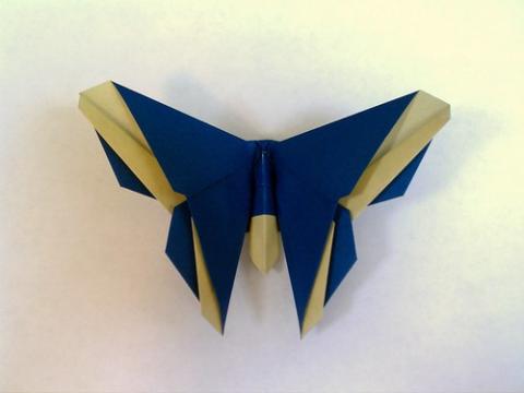 The Baxter (Butterfly)