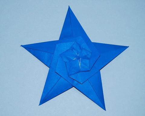 Starfish