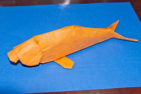 Dugong