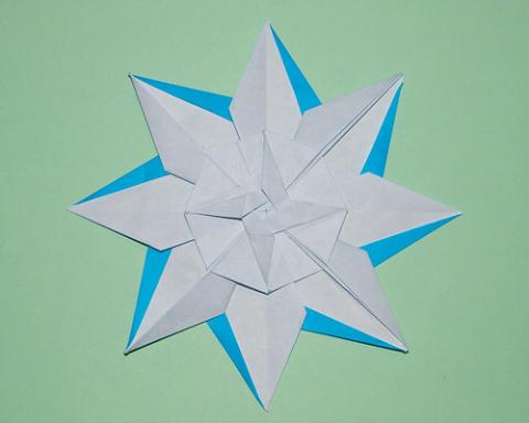 Floral Design
