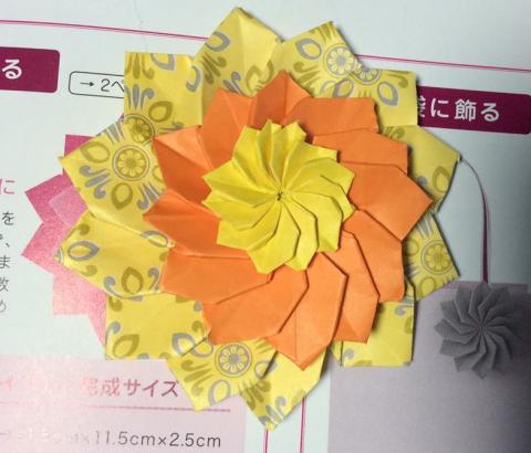 Dahlia