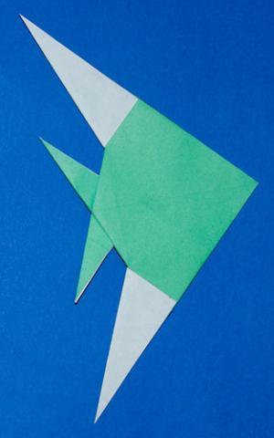 Angelfish