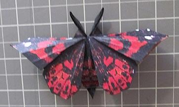 Painted Lady