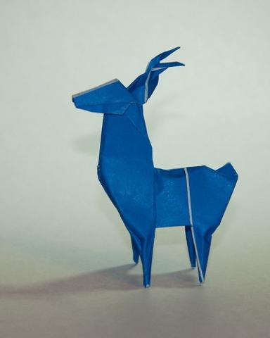 Deer