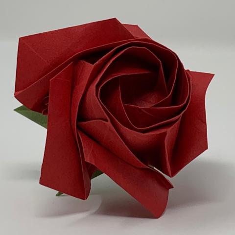 Simple rose