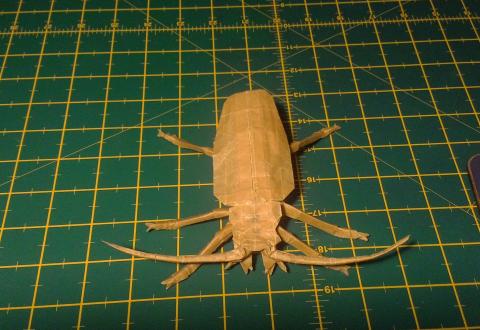 Titan Beetle