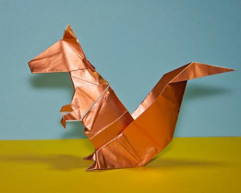 Squirrel