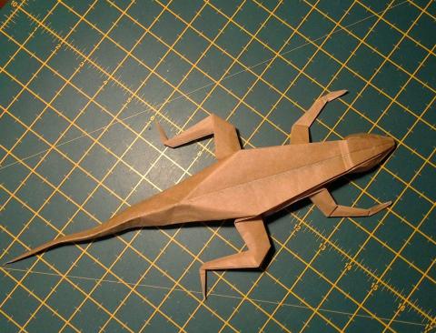 Lizard