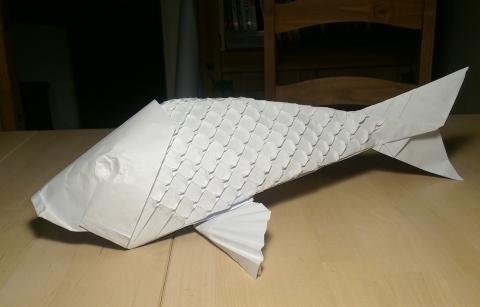 Koi with scales