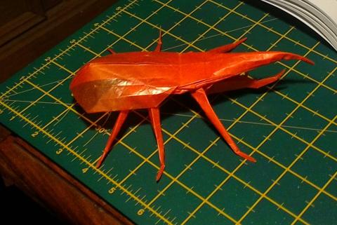 Hercules Beetle