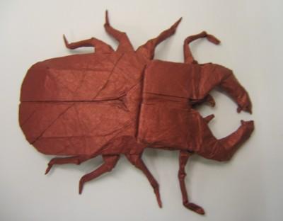Stag Beetle