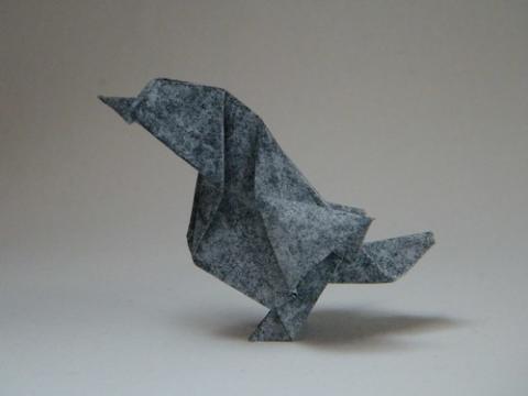 Sparrow