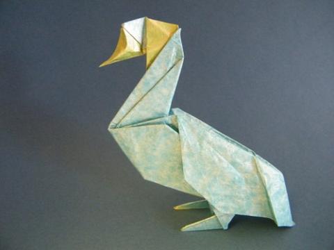 Duck