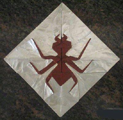 Chocolate Covered Ant