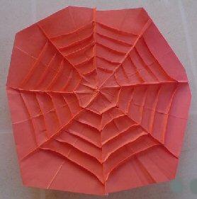 Spider Web