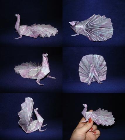 Peacock