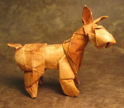 Fox Terrier