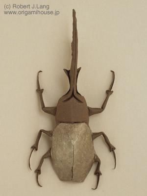 Hercules Beetle