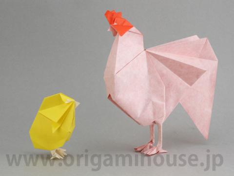 Chick