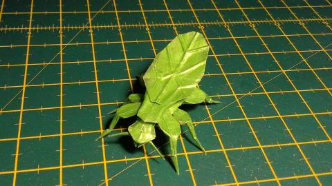 Leaf Insect