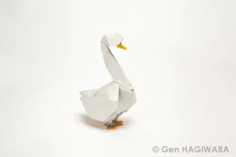 Swan
