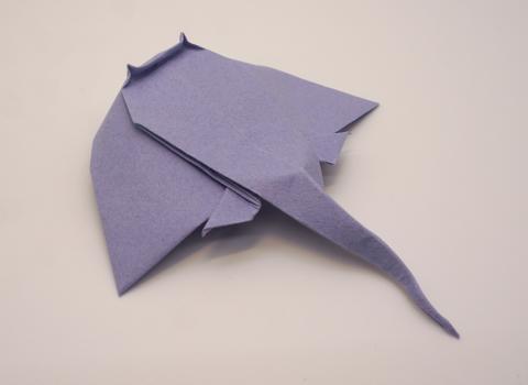 Eagle Ray