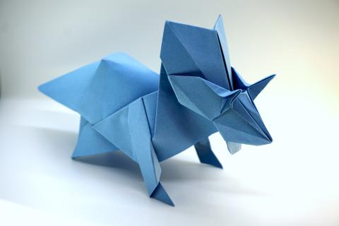 Triceratops
