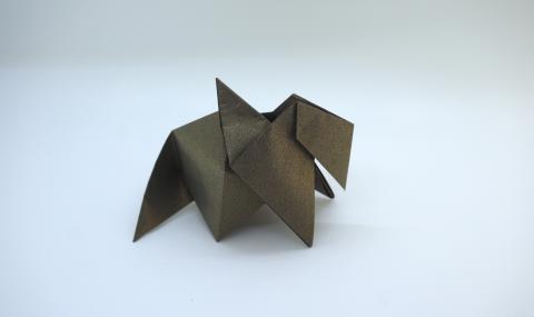 Mini Dragon