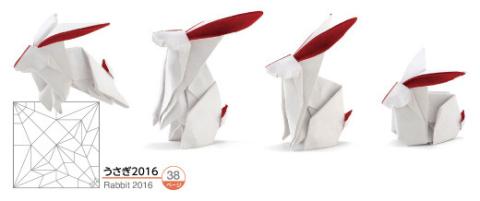 Rabbit 2016