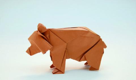 Bär
