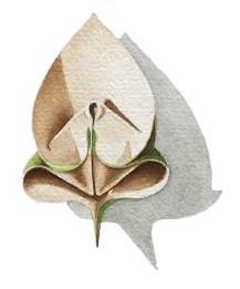 LeaF PraYer