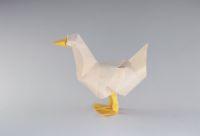 duck