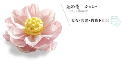 Lotus flower