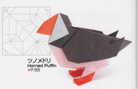 Horned Puffin