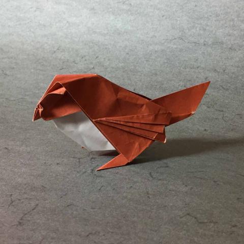 Sparrow