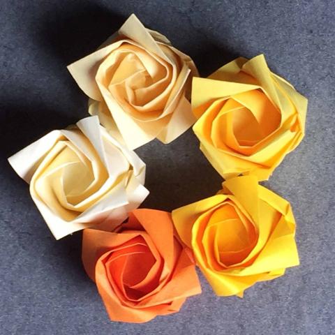 one minute rose